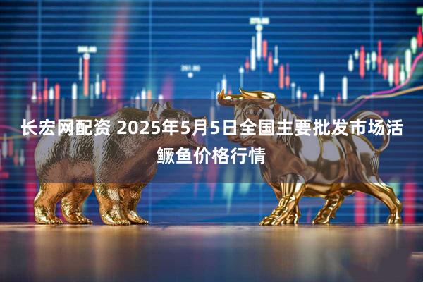 长宏网配资 2025年5月5日全国主要批发市场活鳜鱼价格行情